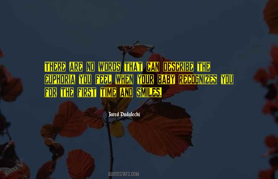 Words Cannot Describe How I Feel Quotes #1656204