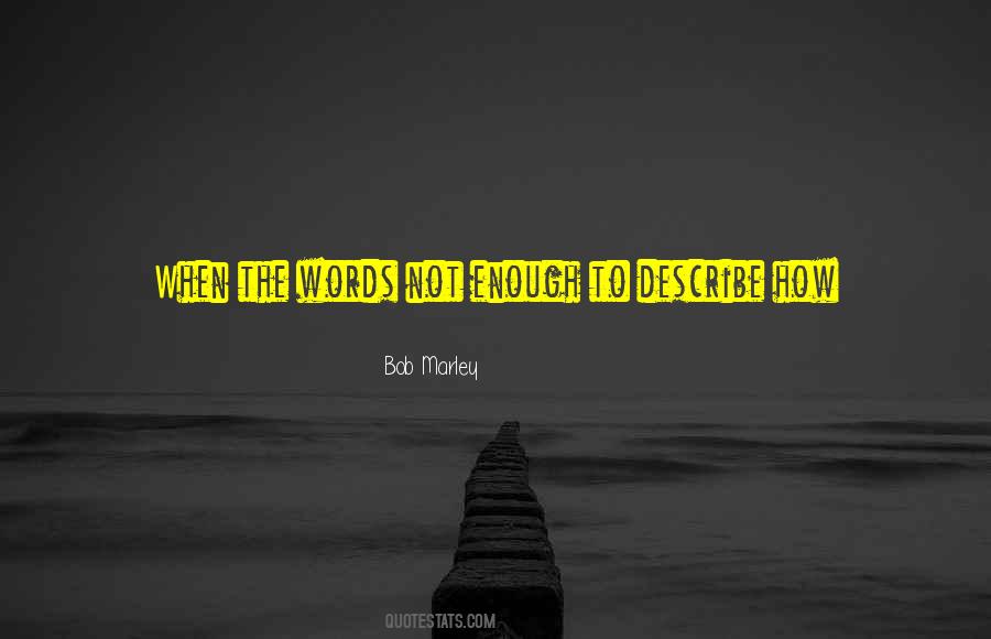 Words Cannot Describe How Much I Love You Quotes #1593515