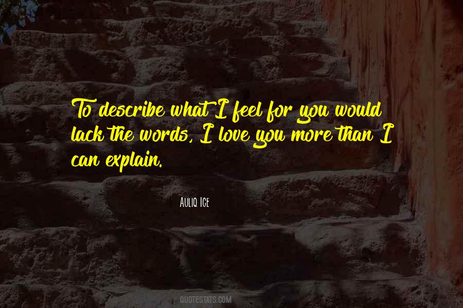 Words Cannot Describe How Much I Love You Quotes #1719667