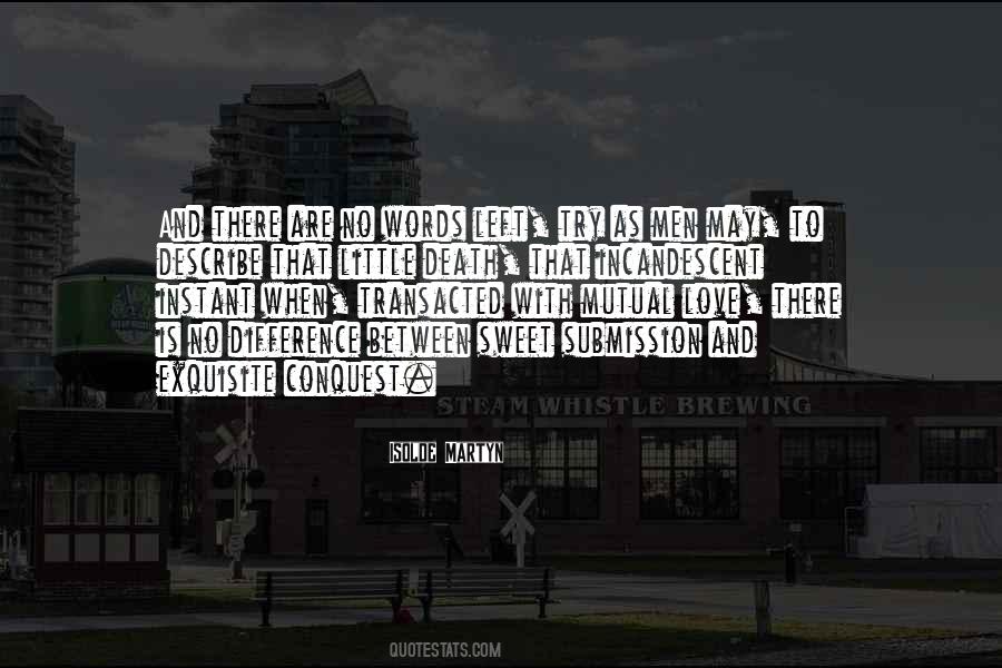 Words Cannot Describe How Much I Love You Quotes #1858062
