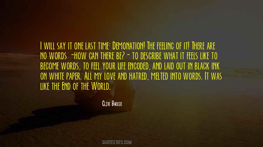 Words Cannot Describe How Much I Love You Quotes #341357