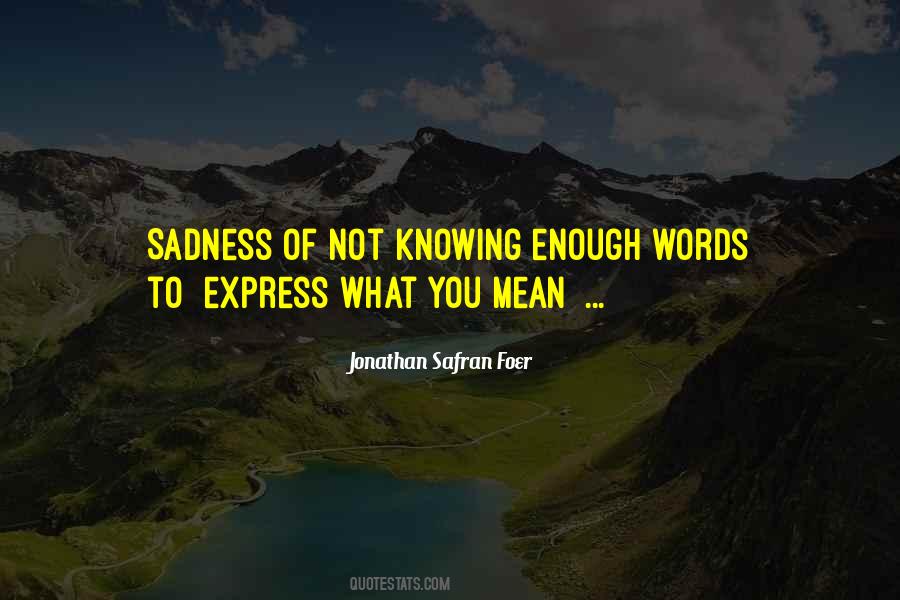 Words Not Enough Quotes #1034028