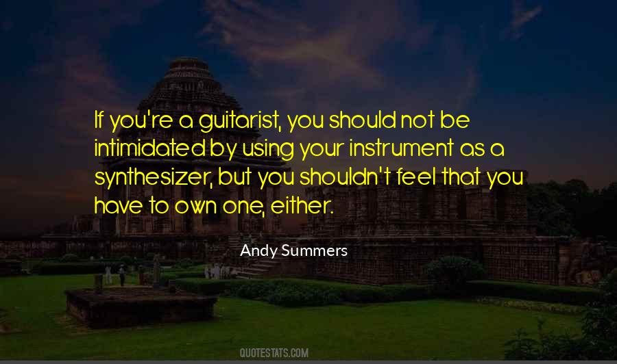 Quotes About Guitarist #230239