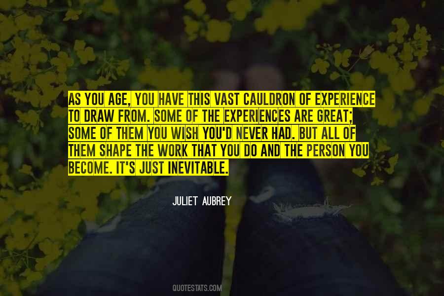 Work Experiences Quotes #1258992