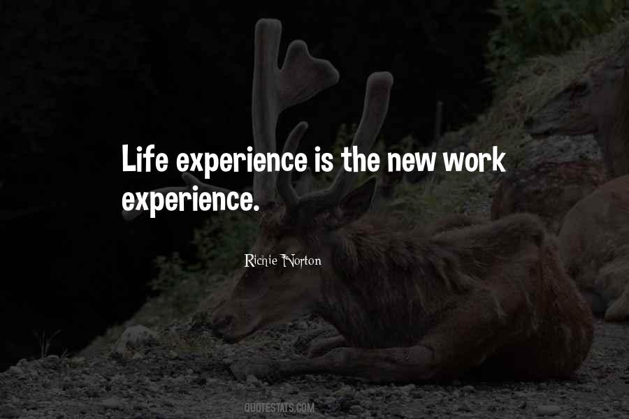 Work Experiences Quotes #958593