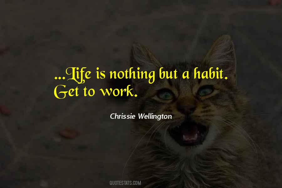 Work Habit Quotes #194976