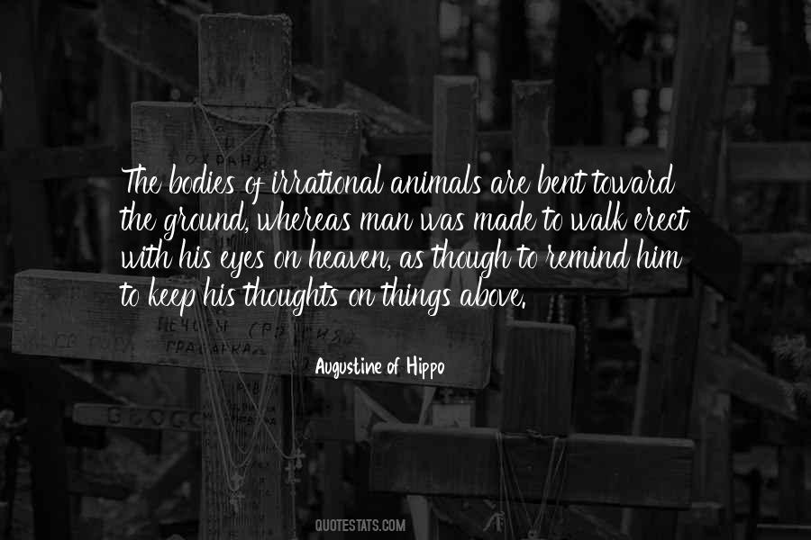 Quotes About Animals In Heaven #827868