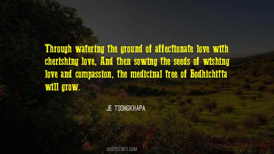 Quotes About Sowing Seeds #1331291