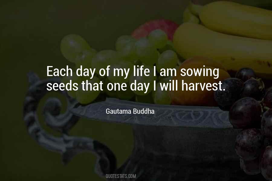 Quotes About Sowing Seeds #1671342