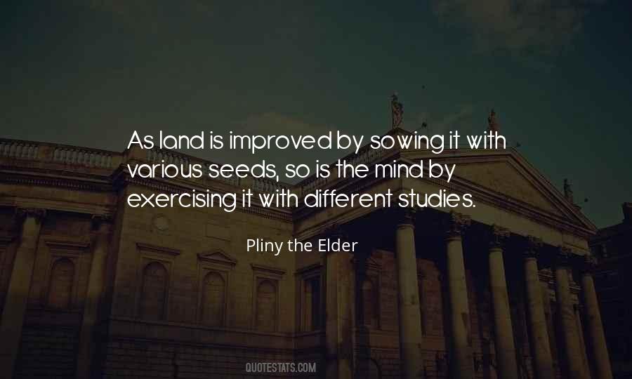 Quotes About Sowing Seeds #595254