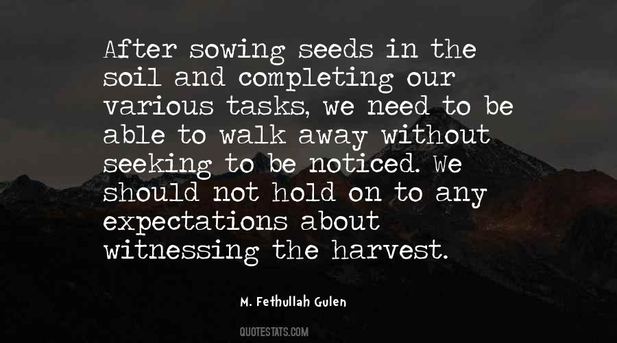 Quotes About Sowing Seeds #620022