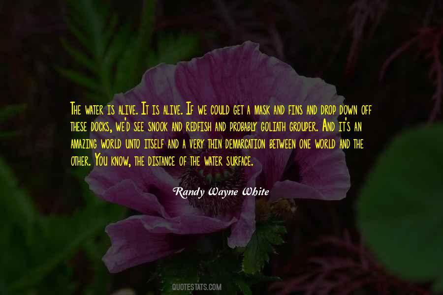 World Is Amazing Quotes #725726