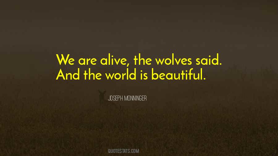 World Is Beautiful Quotes #1406358