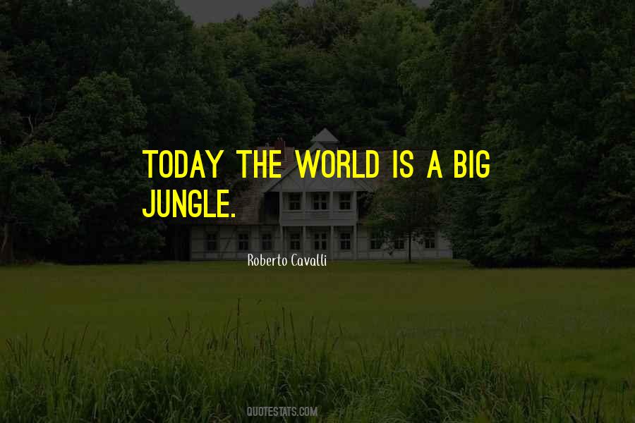 World Is Big Quotes #54971