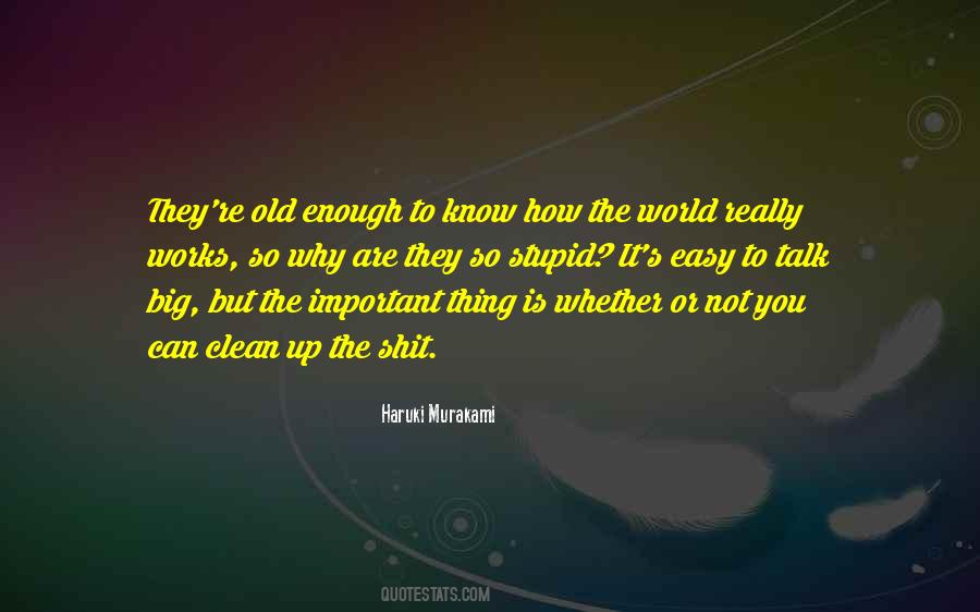 World Is Not Enough Quotes #708873