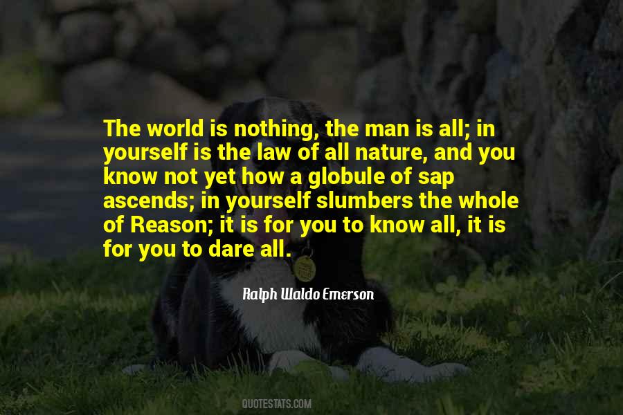 World Is Nothing Quotes #166812