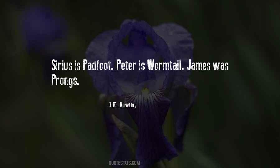 Wormtail Quotes #1101125