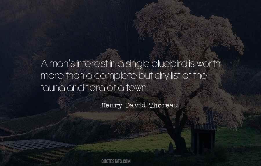 Worth More Than Quotes #982064