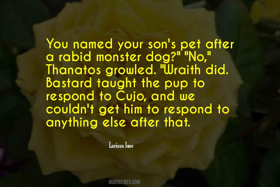 Wraith Quotes #485782
