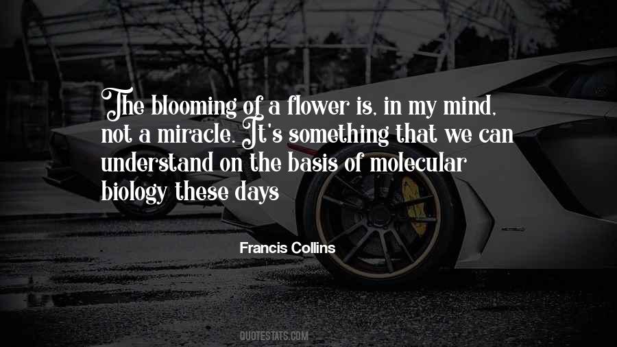 Quotes About A Flower Blooming #1039759