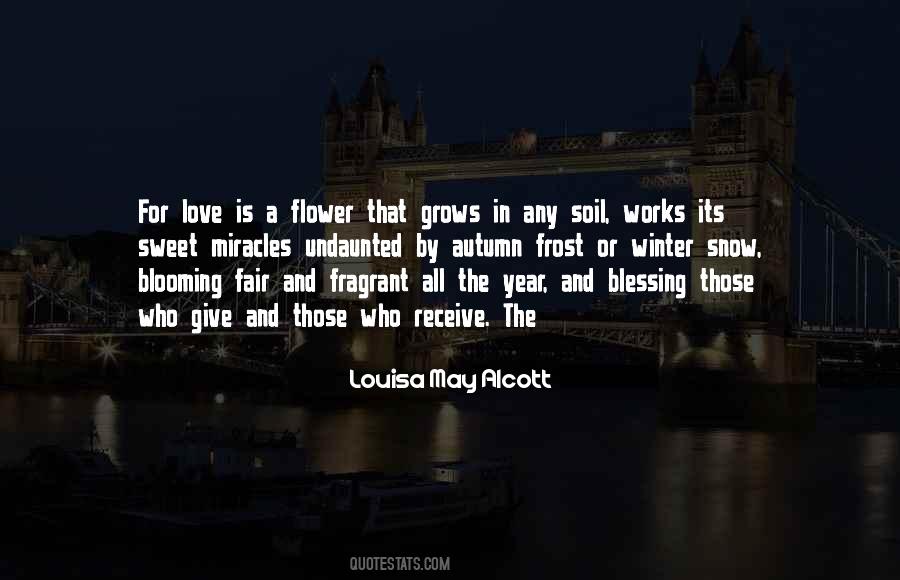 Quotes About A Flower Blooming #225009