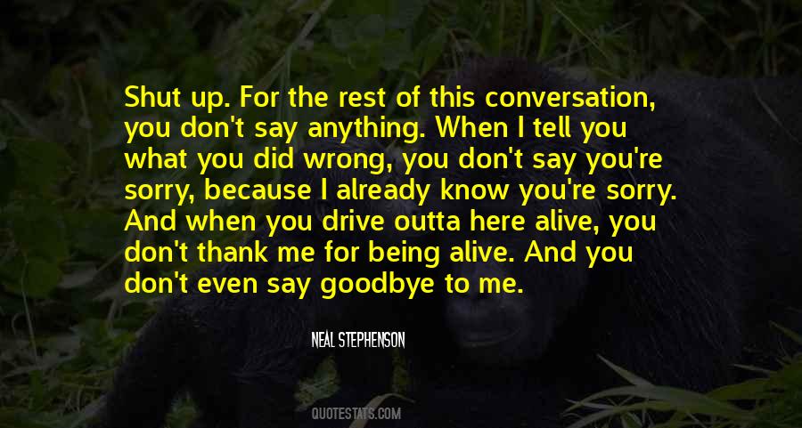 Quotes About What You Did Wrong #1523274