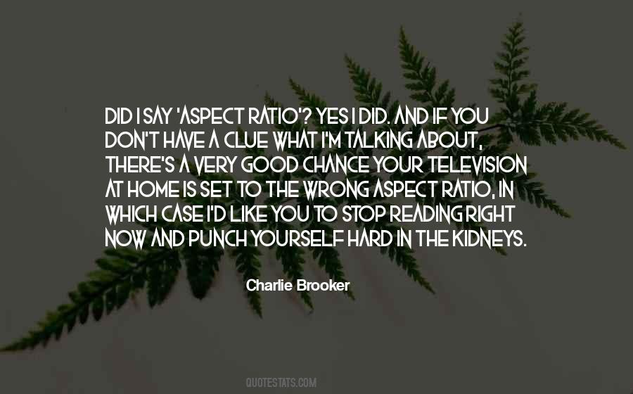 Quotes About What You Did Wrong #566595
