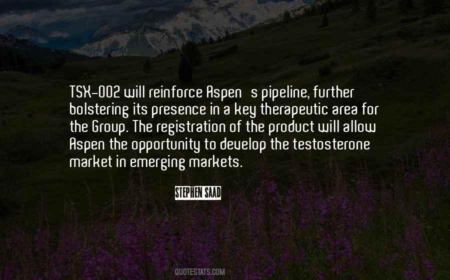 Xl Pipeline Quotes #1079555