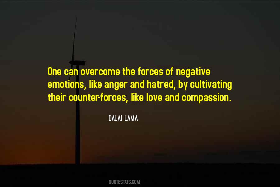 Quotes About Hatred And Anger #100283