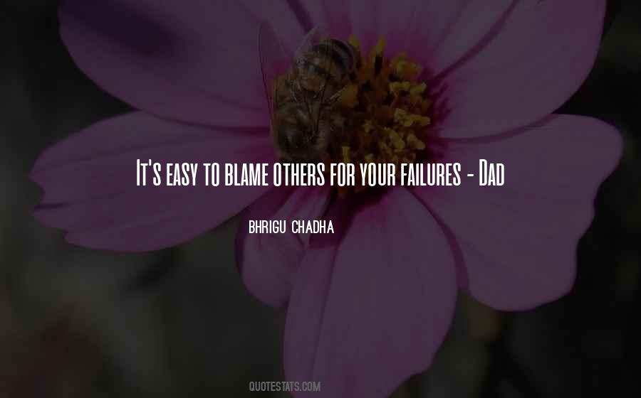 Quotes About Blame Others #94444