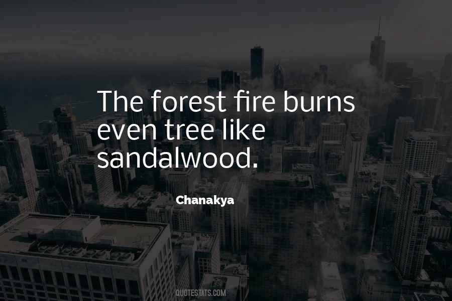 Quotes About Sandalwood #854419