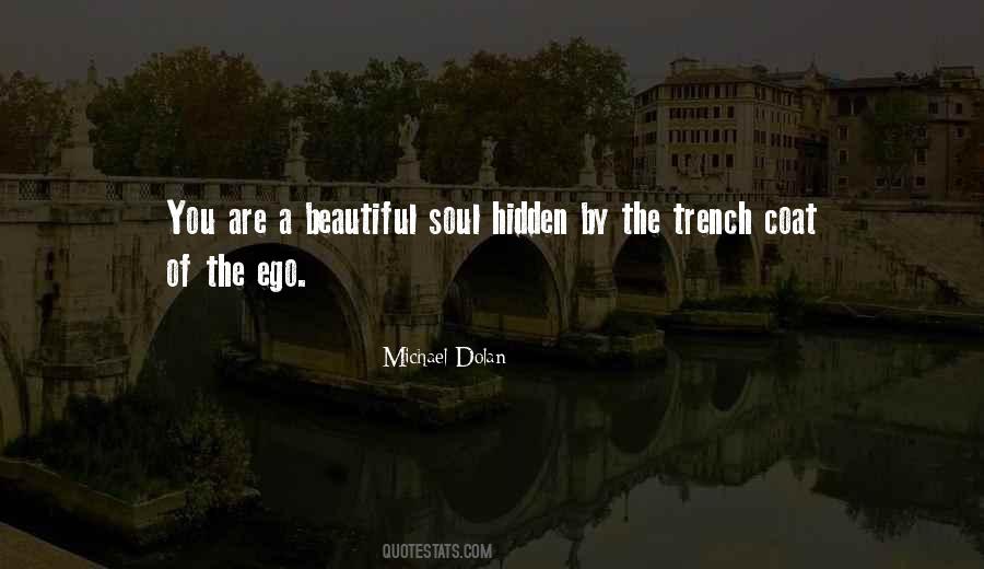 You Are A Beautiful Soul Quotes #974207