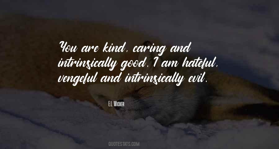 You Are Evil Quotes #301285