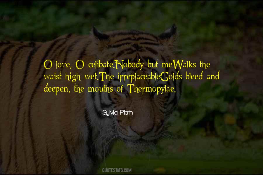 You Are Irreplaceable Love Quotes #1644507
