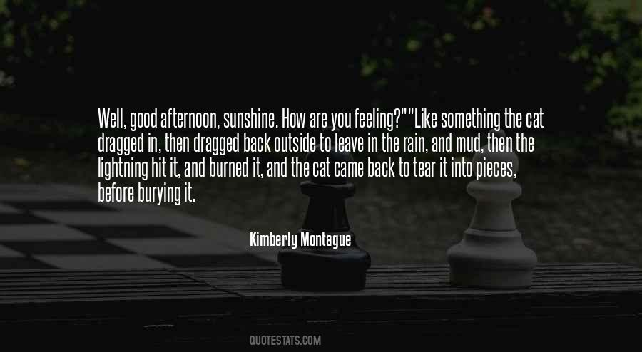 You Are Like Sunshine Quotes #1748713