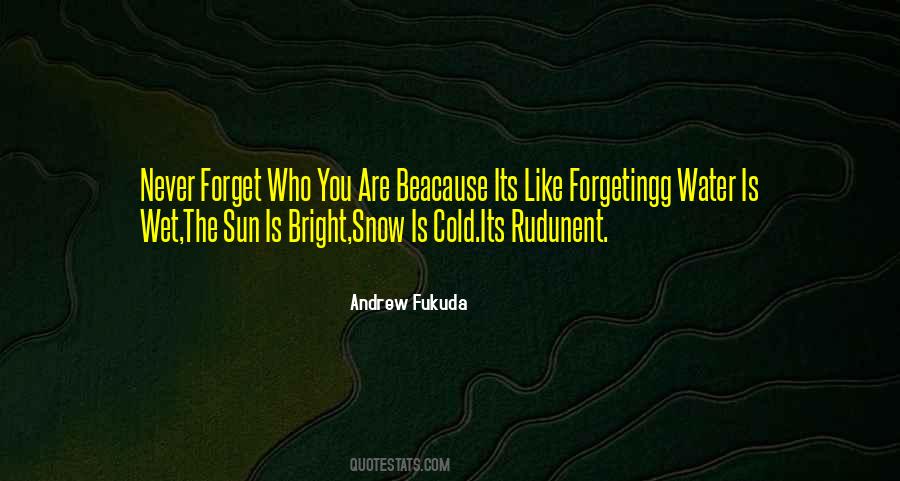 You Are Like The Sun Quotes #1119475