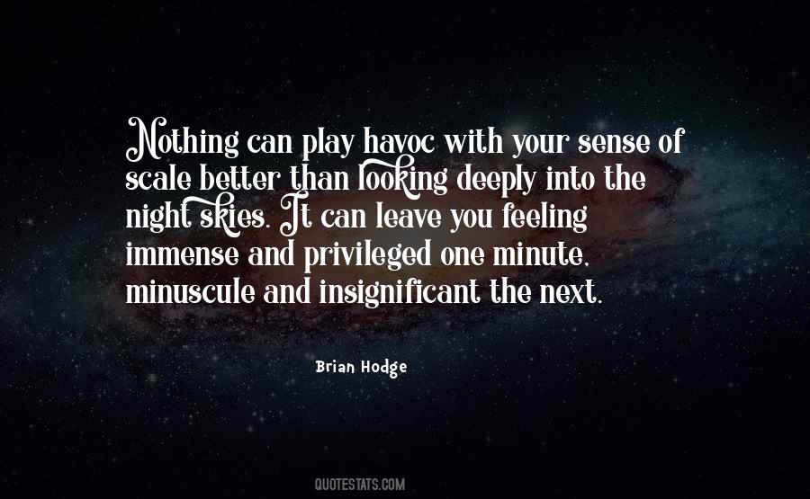 Quotes About Night Skies #1363044
