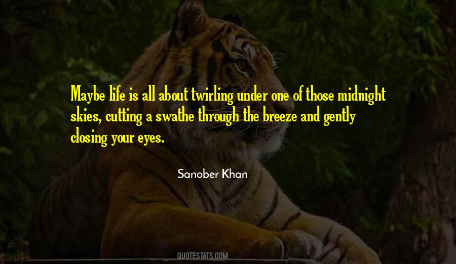 Quotes About Night Skies #444405