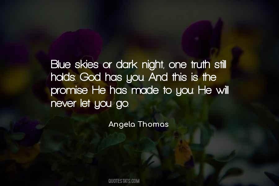 Quotes About Night Skies #757238