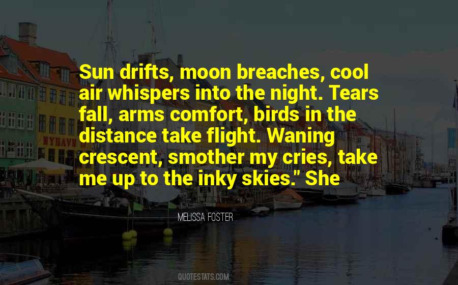 Quotes About Night Skies #776679