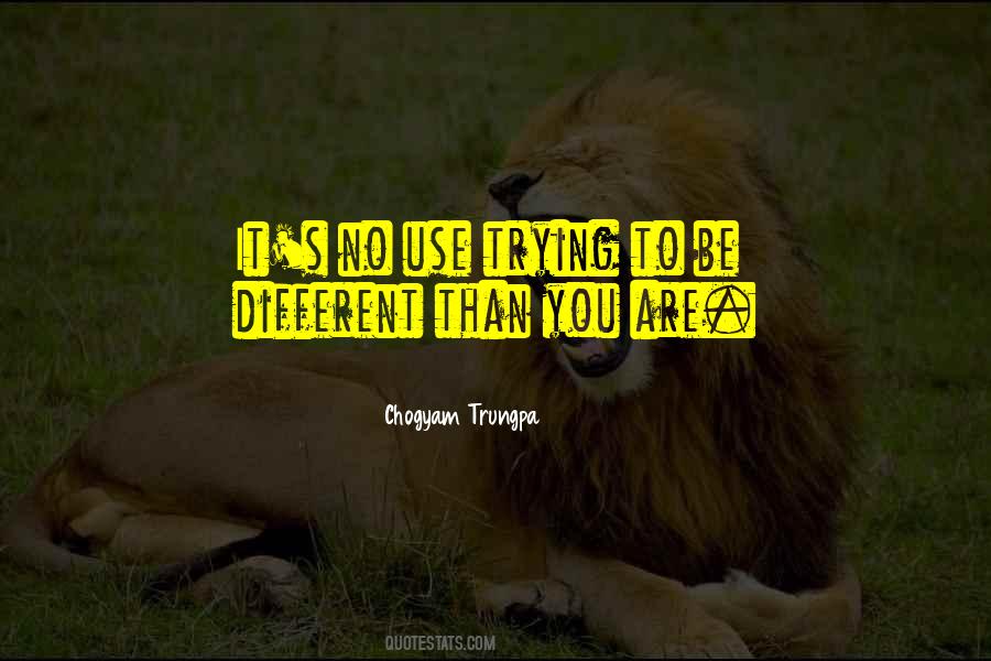 You Are No Different Quotes #673470