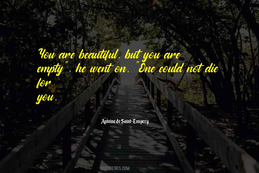 You Are Not Beautiful Quotes #137764