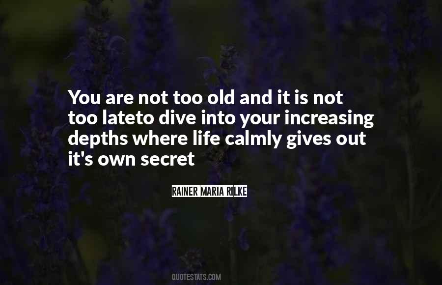 You Are Not Too Old Quotes #1816478
