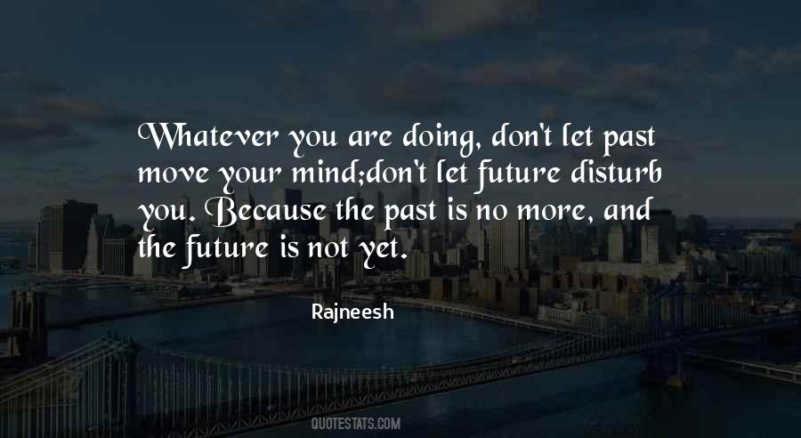 You Are Not Your Past Quotes #1555057