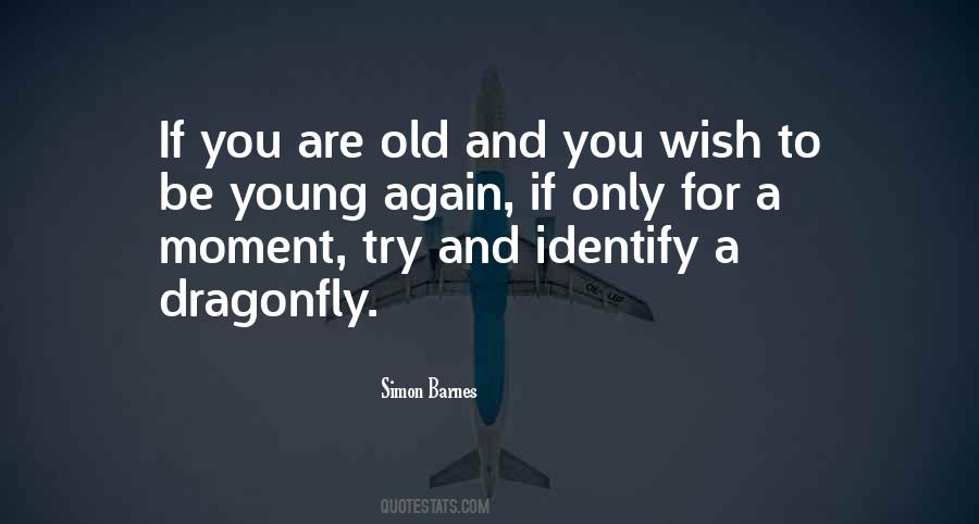 You Are Old Quotes #1106877