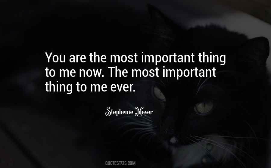 You Are The Most Important Thing To Me Quotes #266089