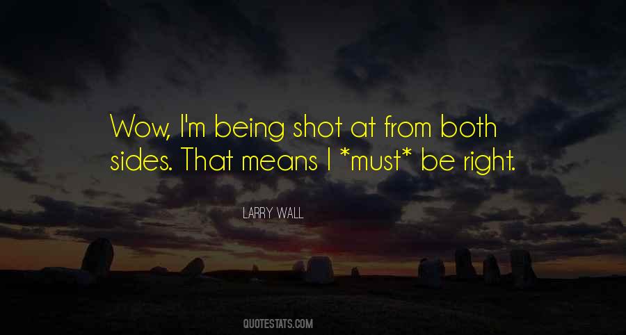 Quotes About Being Shot #1433345