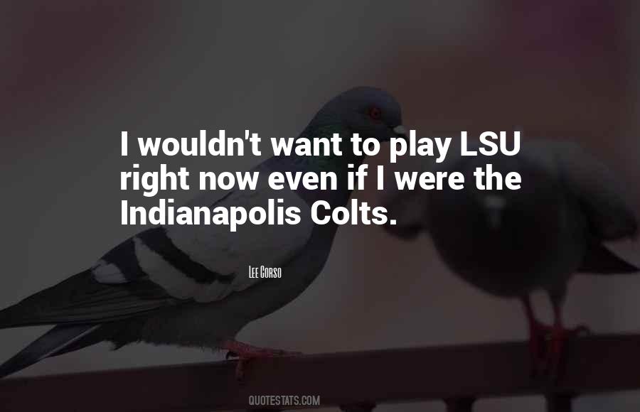 Quotes About Colts #1828891