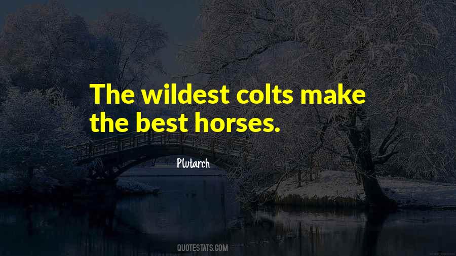 Quotes About Colts #632958