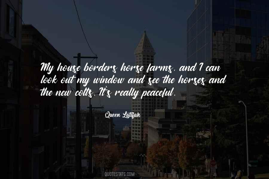 Quotes About Colts #980879